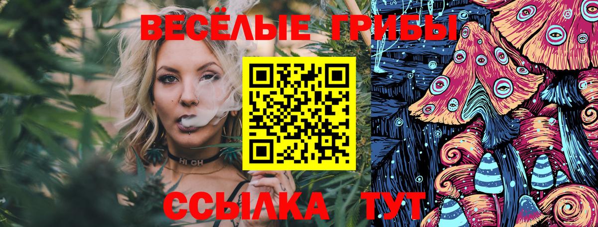 Псилоцибиновые грибы Psilocybe  купить наркотики сайты  Городец  Вход с VPN 