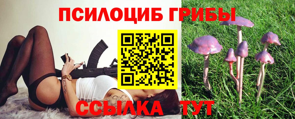 Псилоцибиновые грибы Magic Shrooms Городец