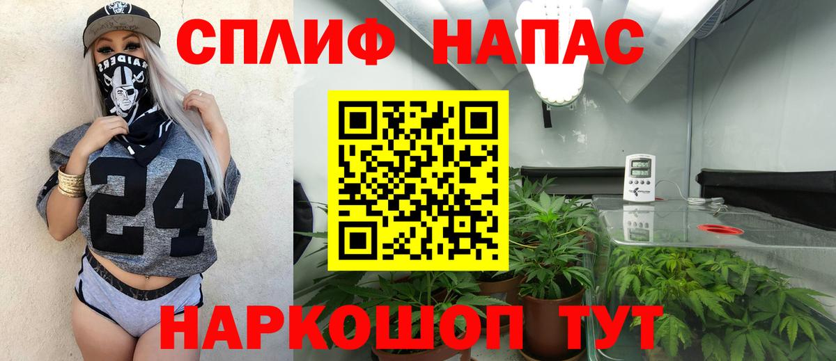 Галлюциногенные грибы Городец